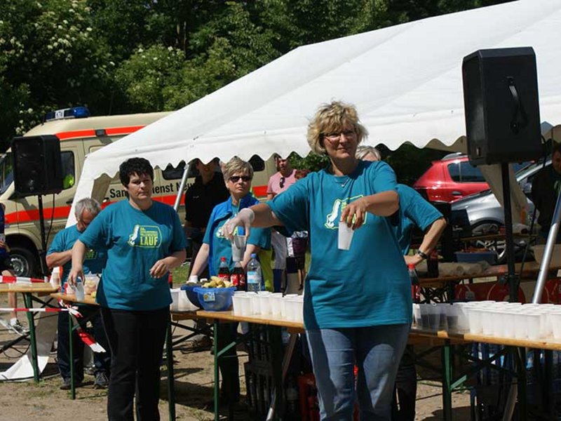 Tollenseseelauf 2016 - Bild 3