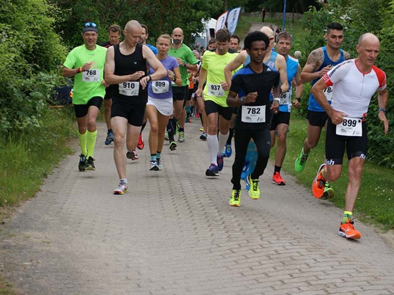 Tollenseseelauf 2017 - Bild 4