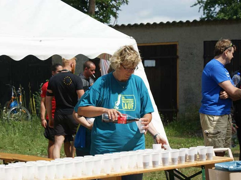 Tollenseseelauf 2016 - Bild 9