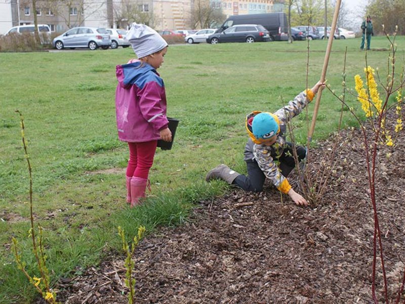Neuwoba Frühjahrsputz 2017 - Bild 4