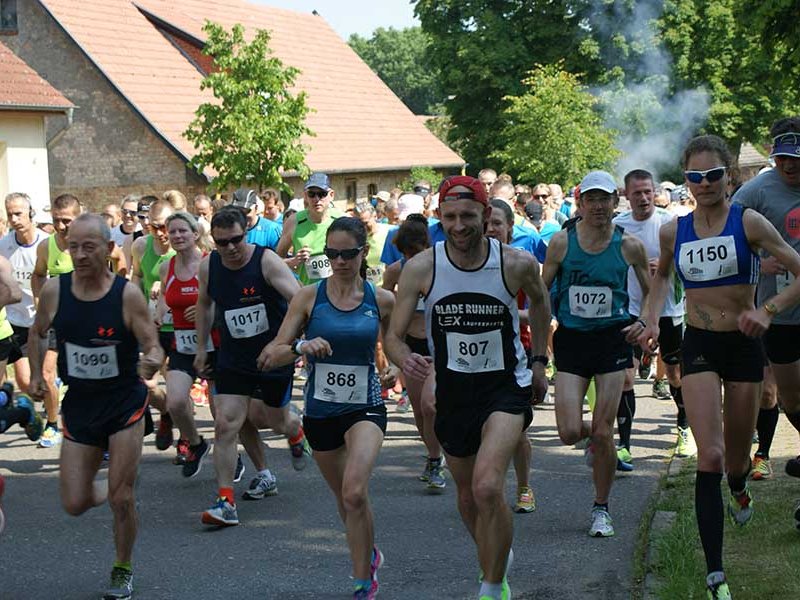 Tollenseseelauf 2015 - Bild 8
