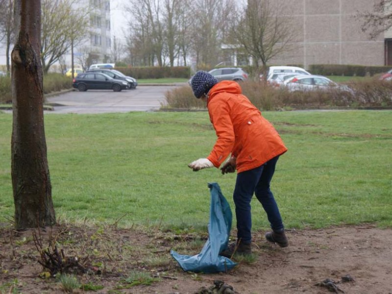 Neuwoba Frühjahrsputz 2017 - Bild 6