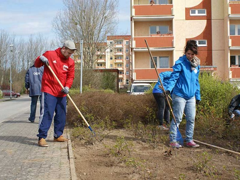 Neuwoba Frühjahrsputz 2016 - Bild 25