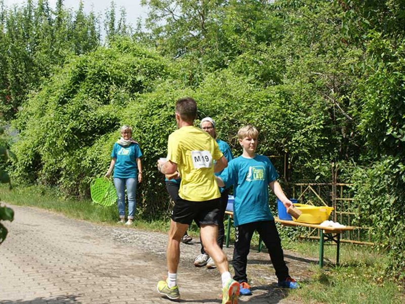 Tollenseseelauf 2016 - Bild 5