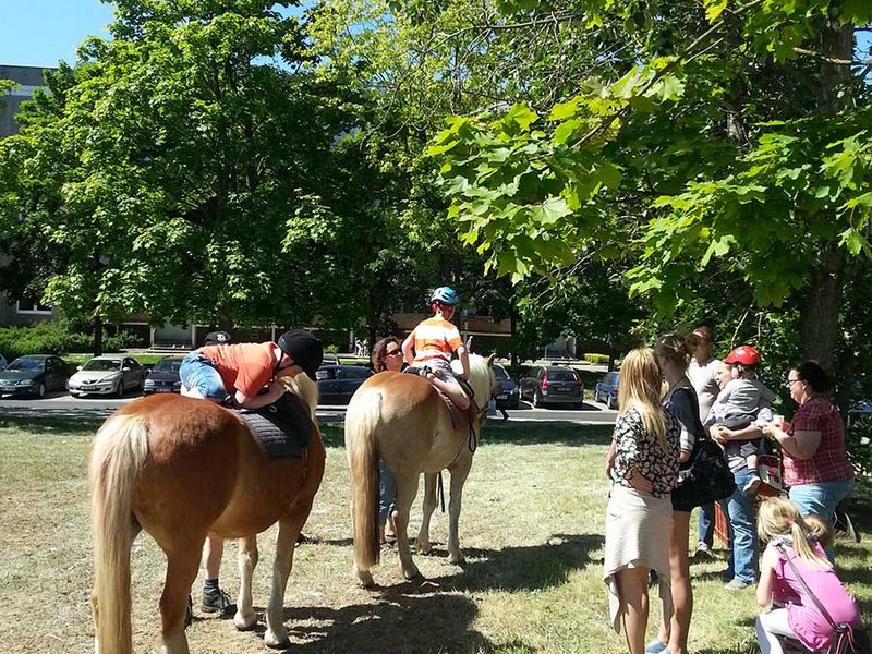 Kinderfest auf dem Datzeberg - Bild 8