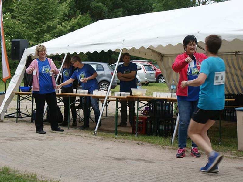 Tollenseseelauf 2017 - Bild 14
