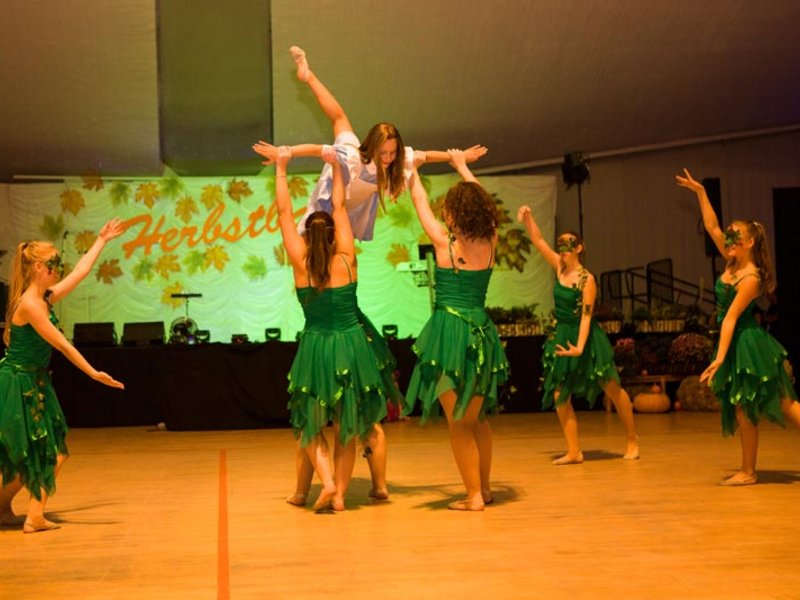 Neuwoba Herbstball 2017 - Bild 24