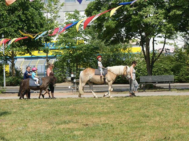 Neuwoba Kinderfest auf dem Datzeberg - Bild 7