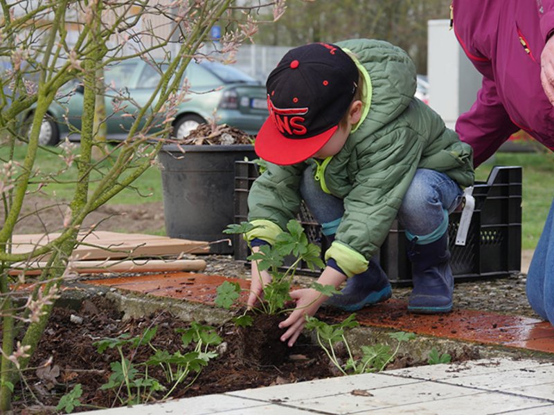 Frühjahrsputz 2019 - Bild 1