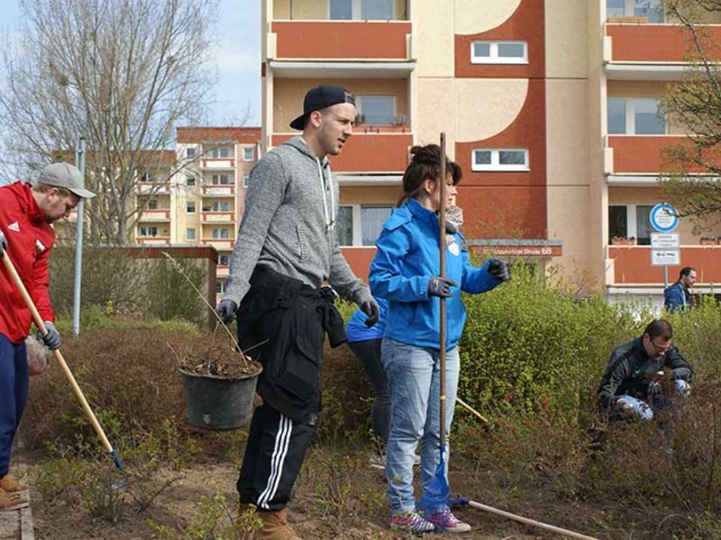 Neuwoba Frühjahrsputz 2016 - Bild 26
