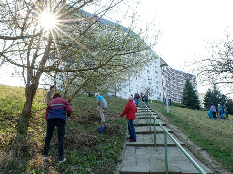 Frühjahrsputz 2019 - Bild 9