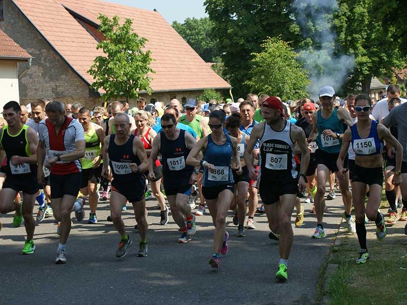 Tollenseseelauf 2015 - Bild 7