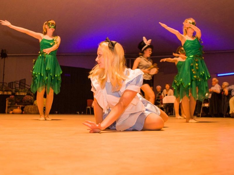 Neuwoba Herbstball 2017 - Bild 30