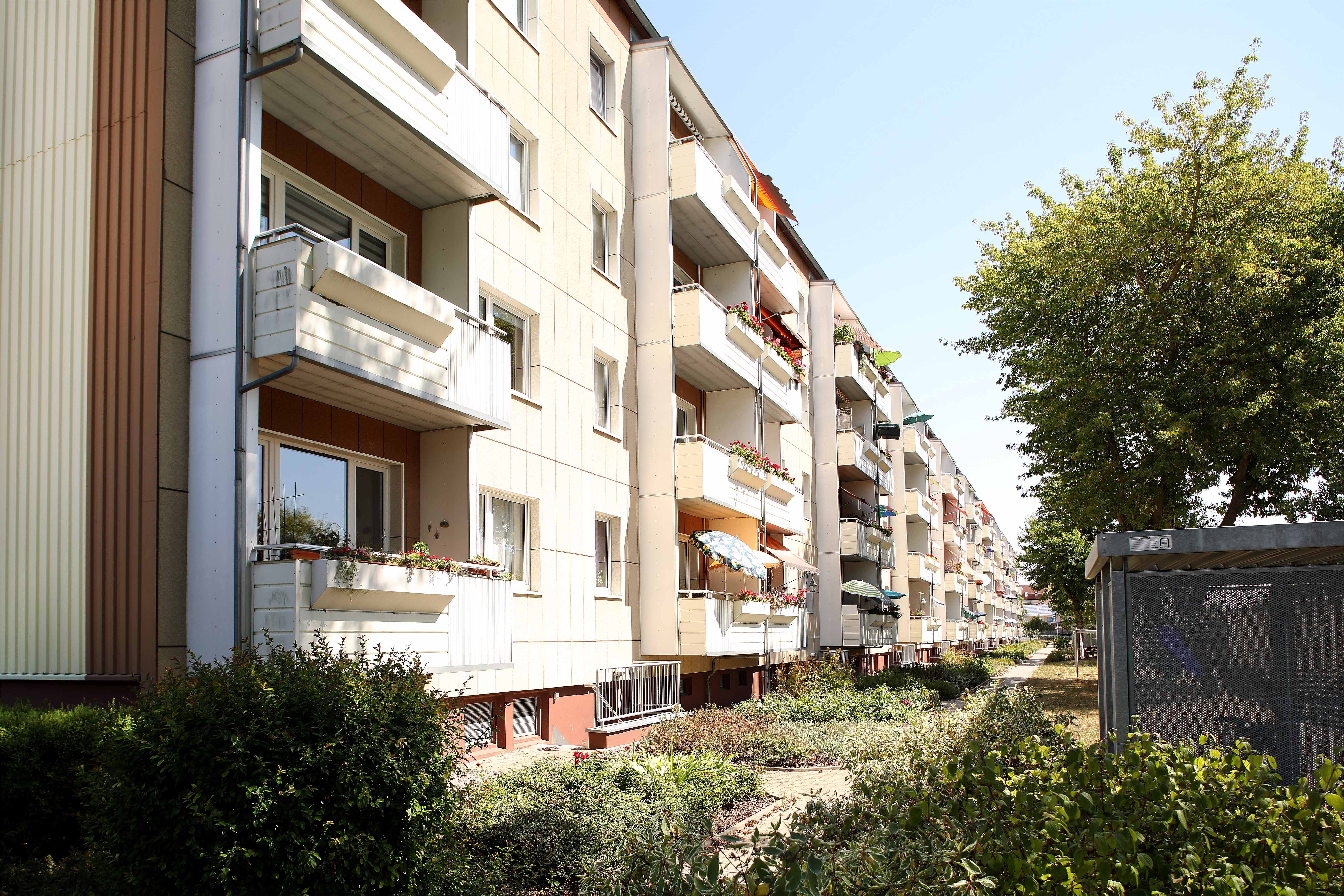 3 Raum Wohnung in Neubrandenburg, Greifstr.