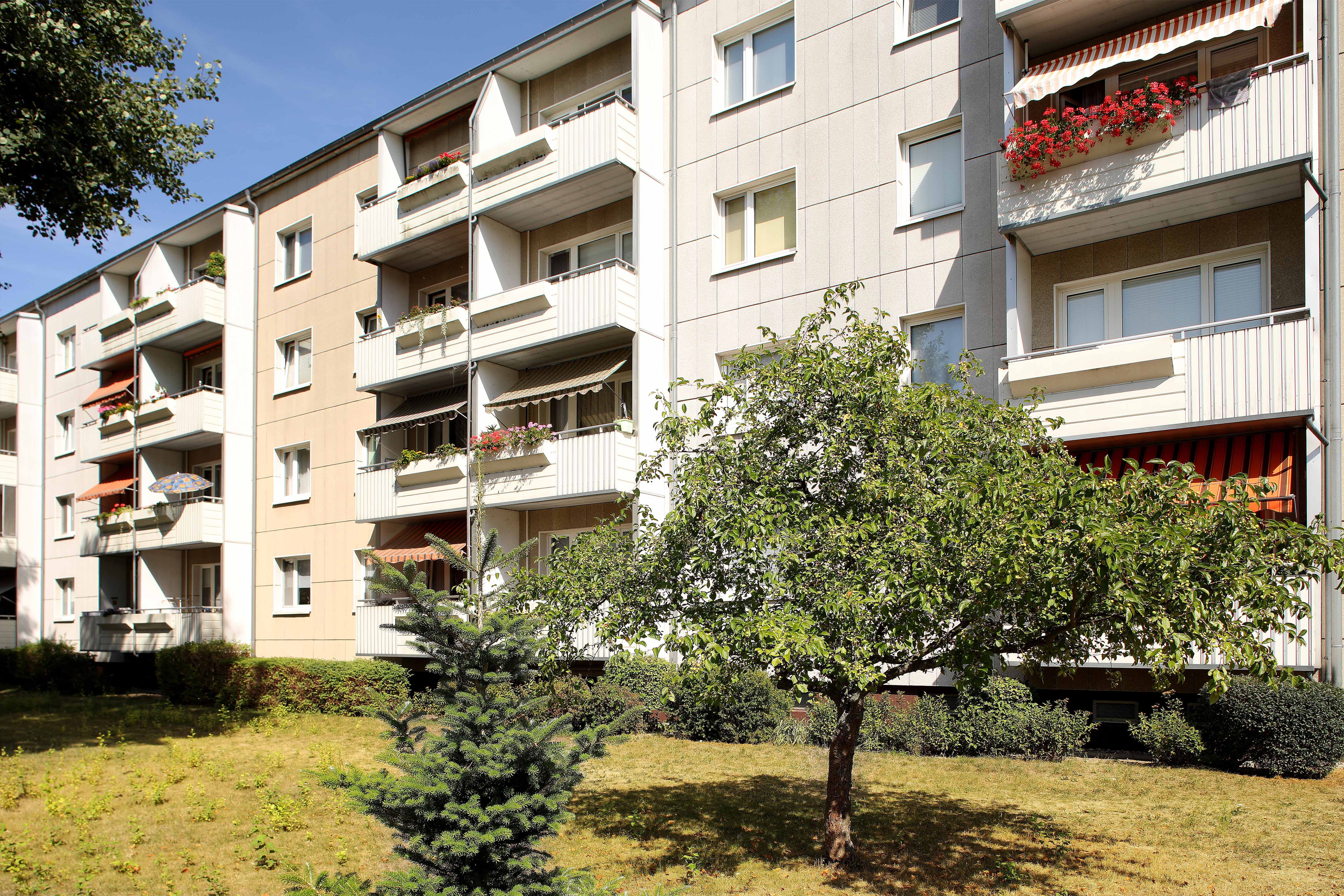 3 Raum Wohnung in Neubrandenburg, Greifstr.