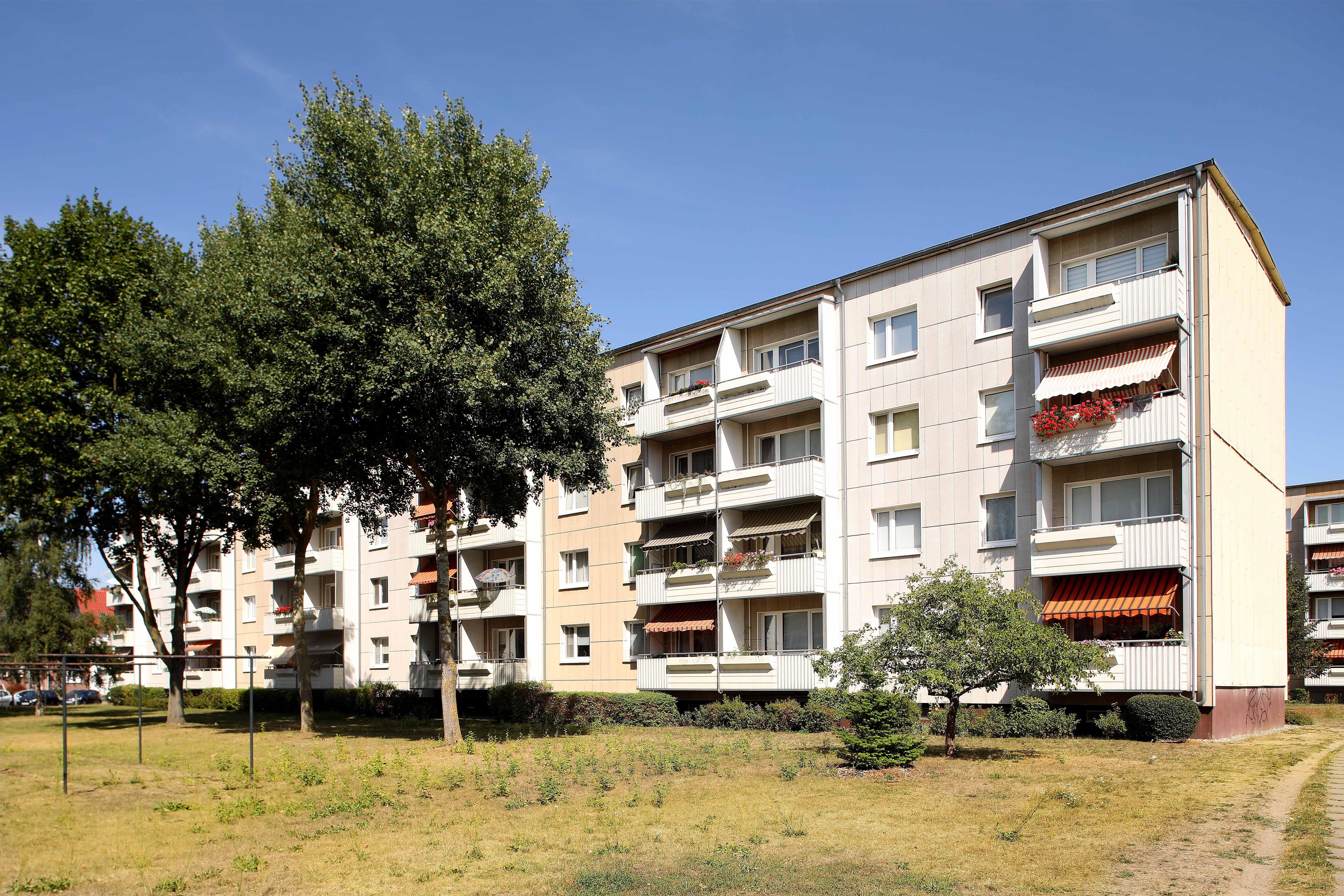 3 Raum Wohnung in Neubrandenburg, Greifstr.