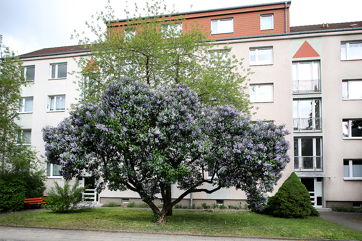 3 Raum Wohnung in Neubrandenburg, John-Schehr-Str.