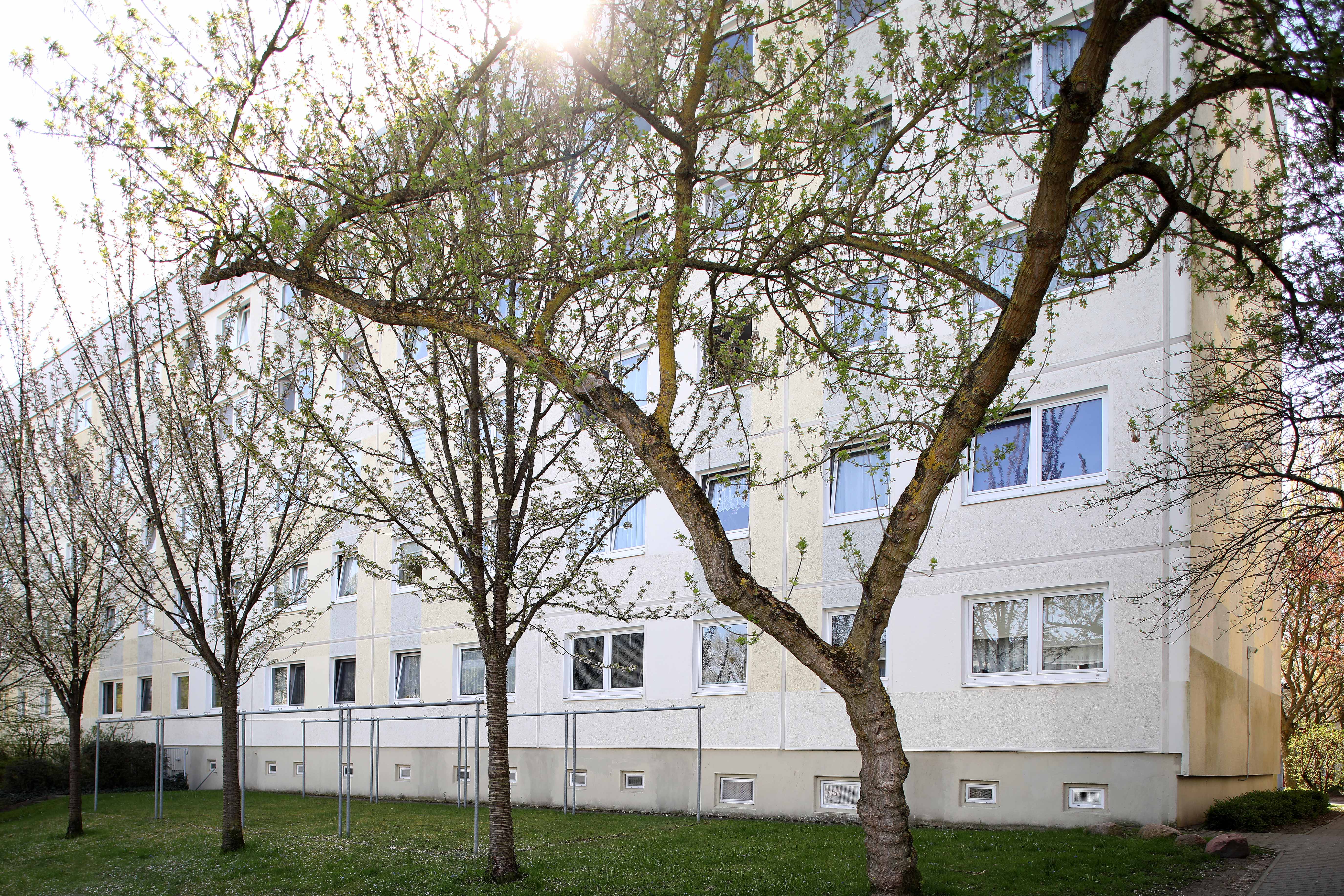 3 Raum Wohnung in Neubrandenburg, Koszaliner Str.