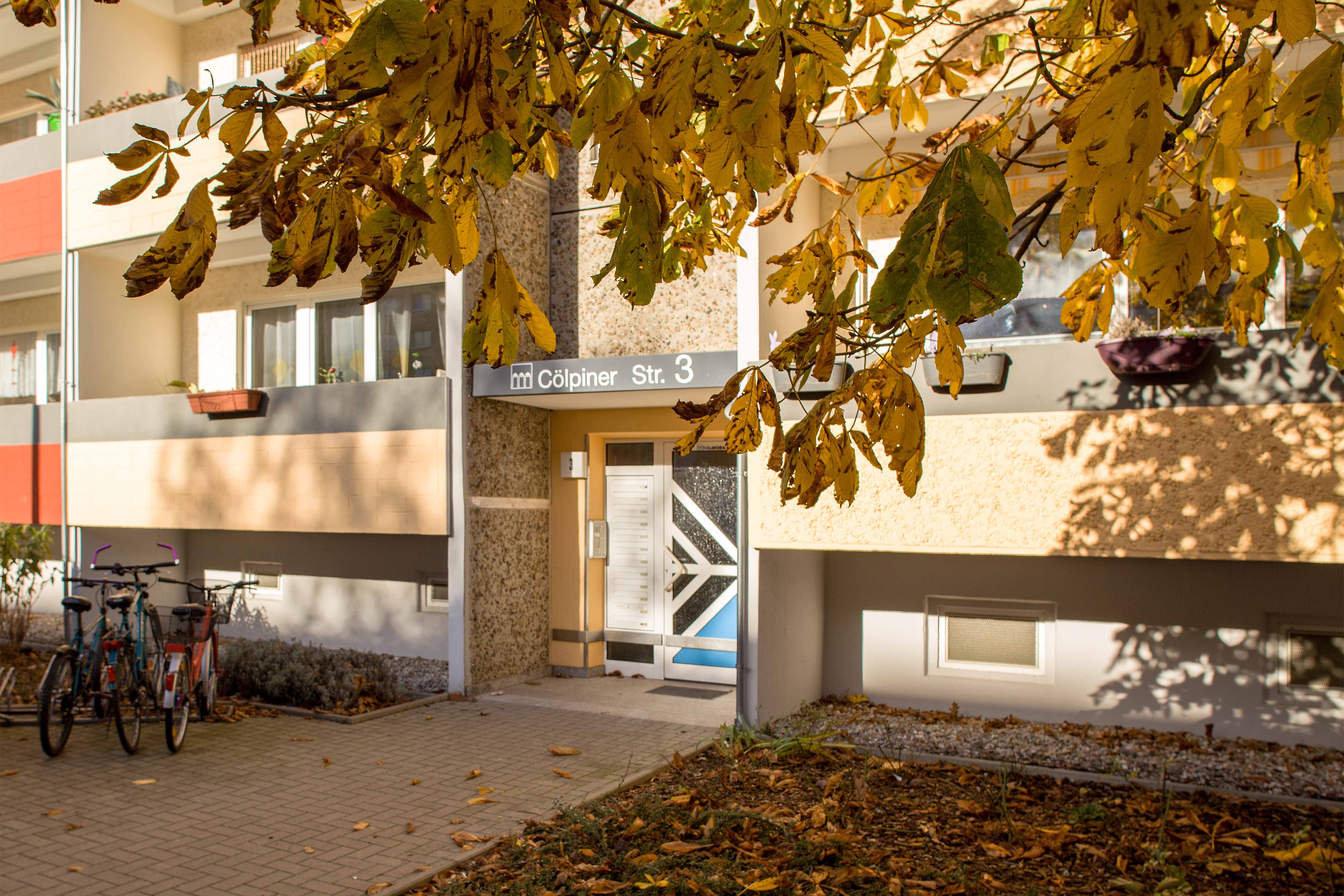 3 Raum Wohnung in Neubrandenburg, Cölpiner Str.